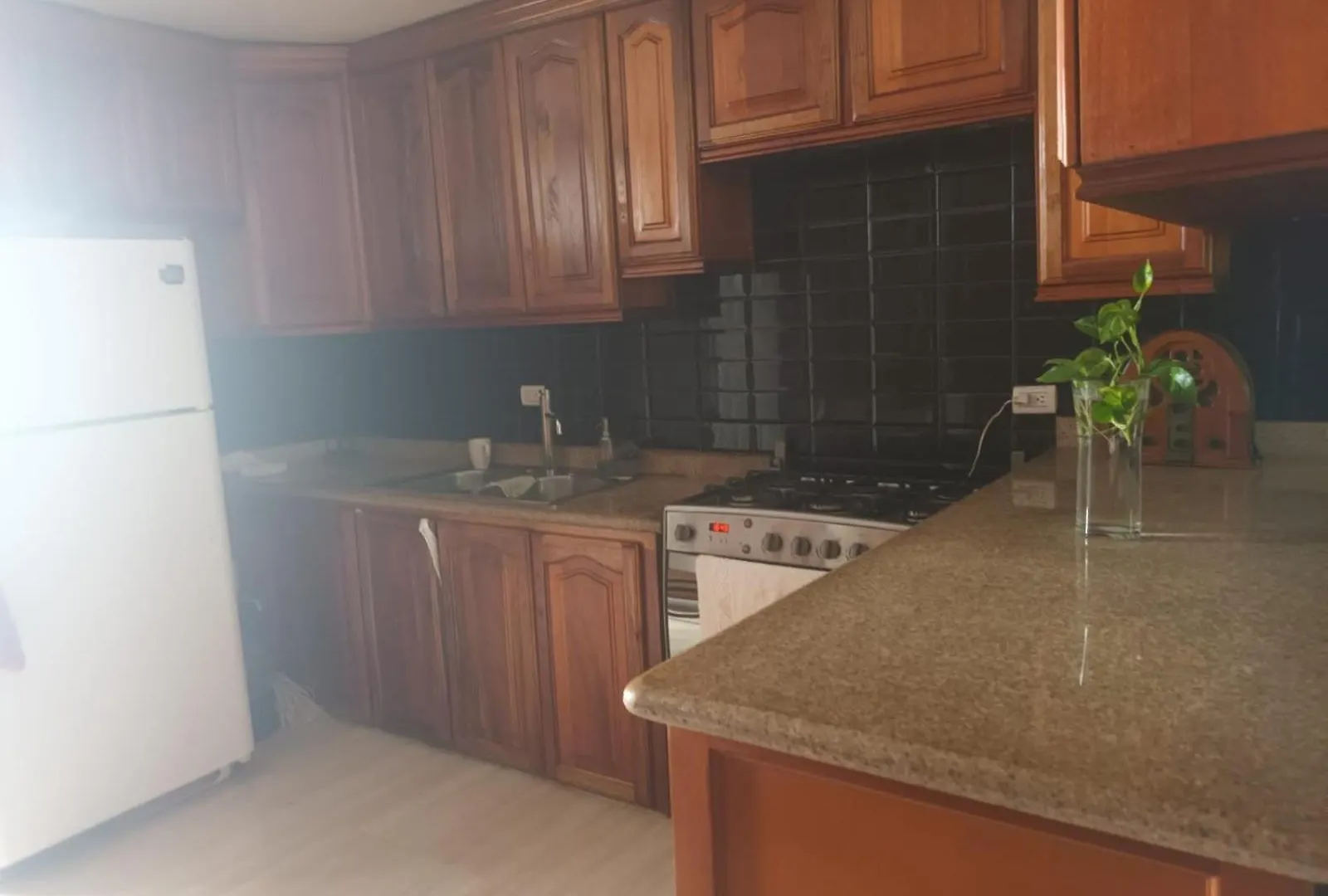 Veronica Castillo Santo Domingo Homestay